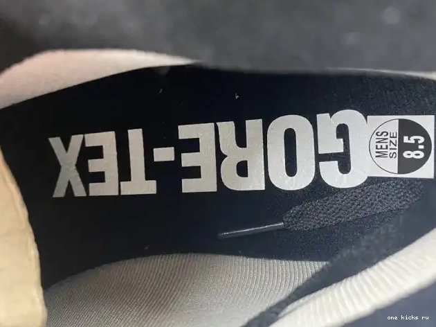 Chep Onekick Retro Jordan Particle Black Element DB2889-001 High Grey 1 Gore-Tex 0509